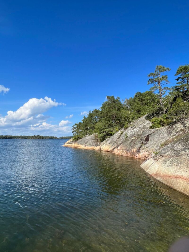 Rocky shoreline with pine trees and clear blue water on Finnhamn Island, Stockholm Archipelago Trail