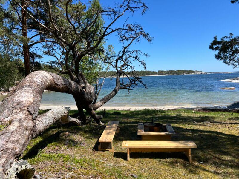 Seaside picnic area with wooden benches under leaning pine tree on Yxlan Island, Stockholm Archipelago Trail