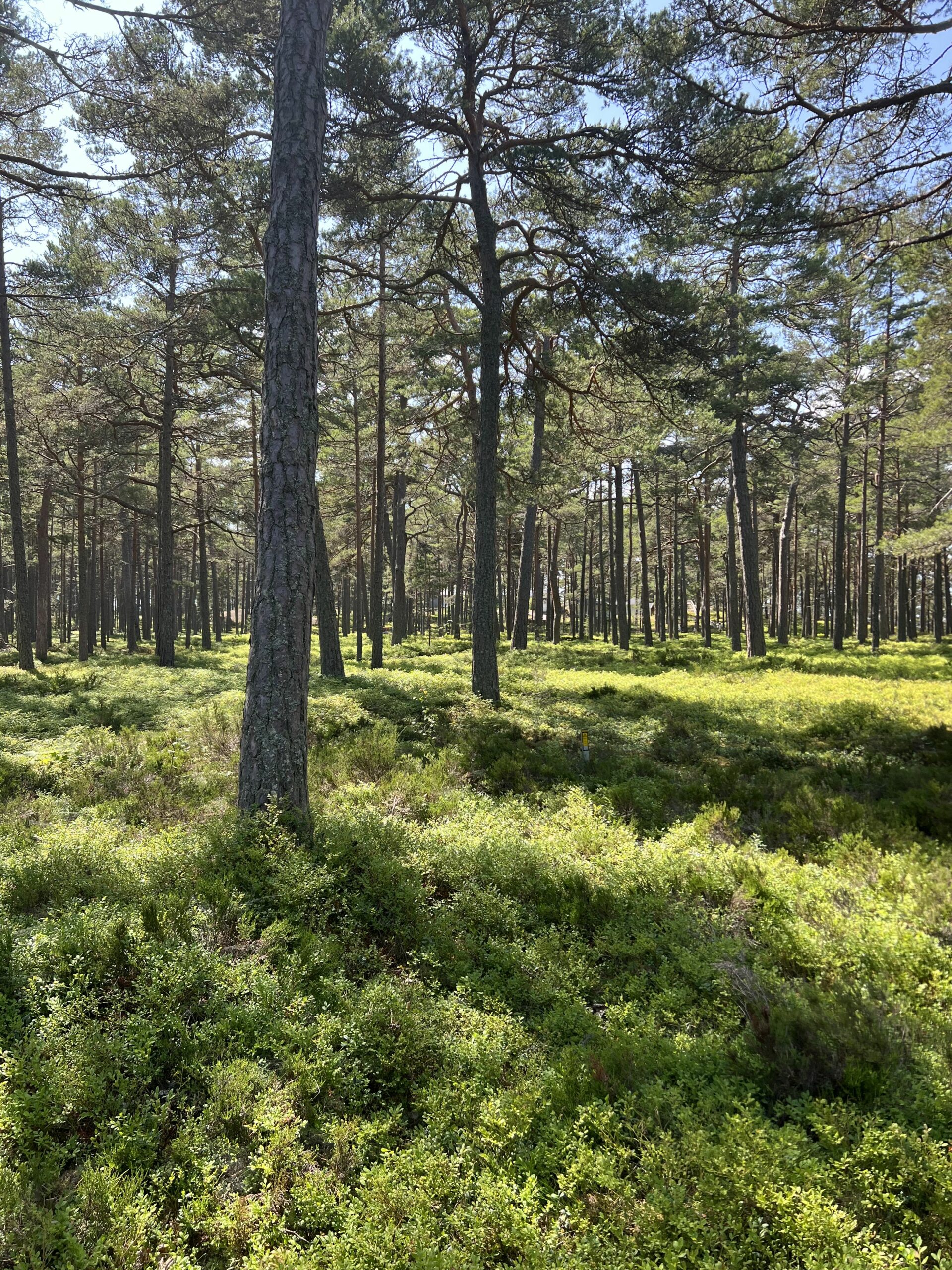 Stockholm Archipelago Trail - Stockholm Archipelago Trail