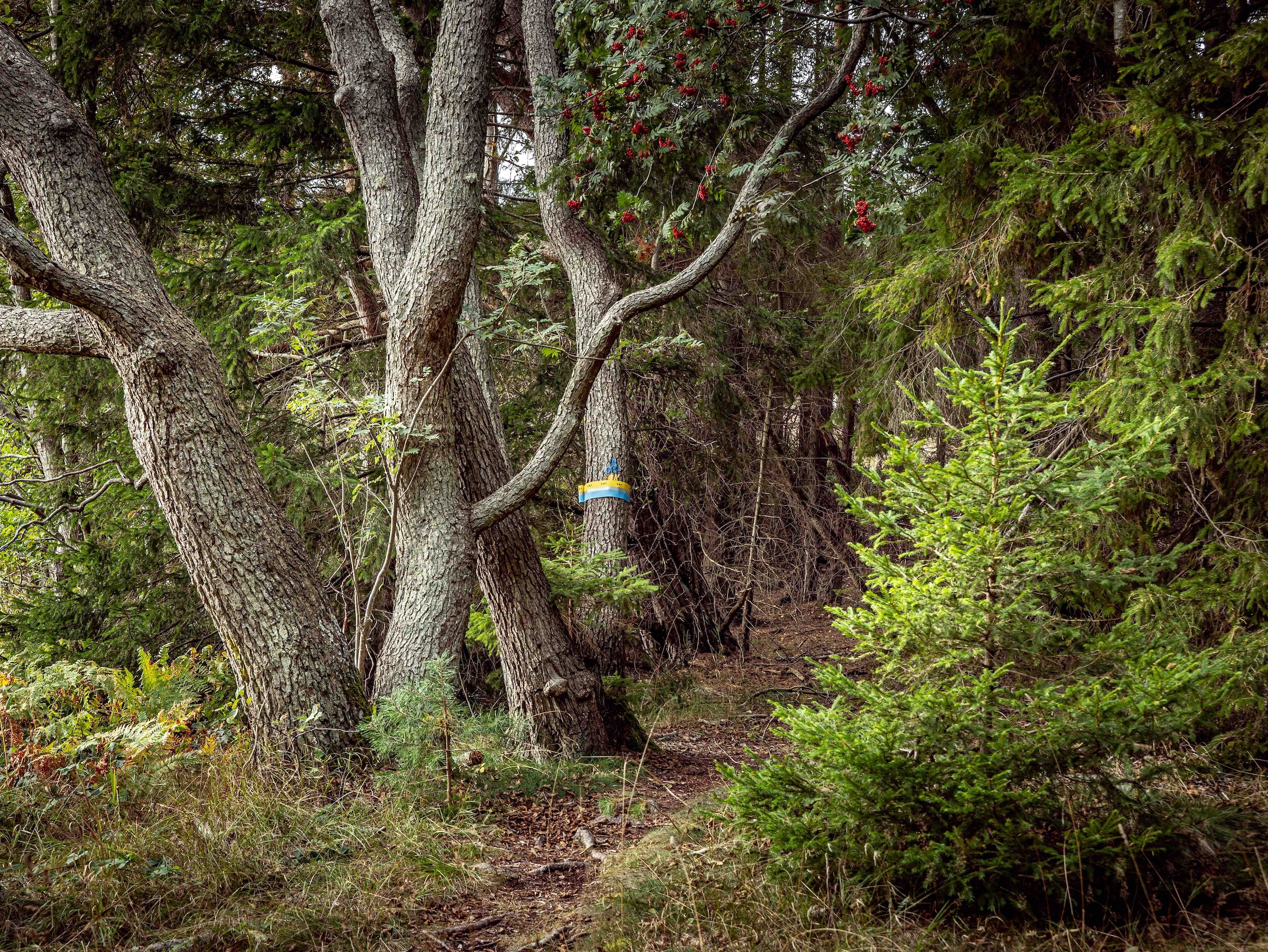 SAT marking along the SAT on Ålö