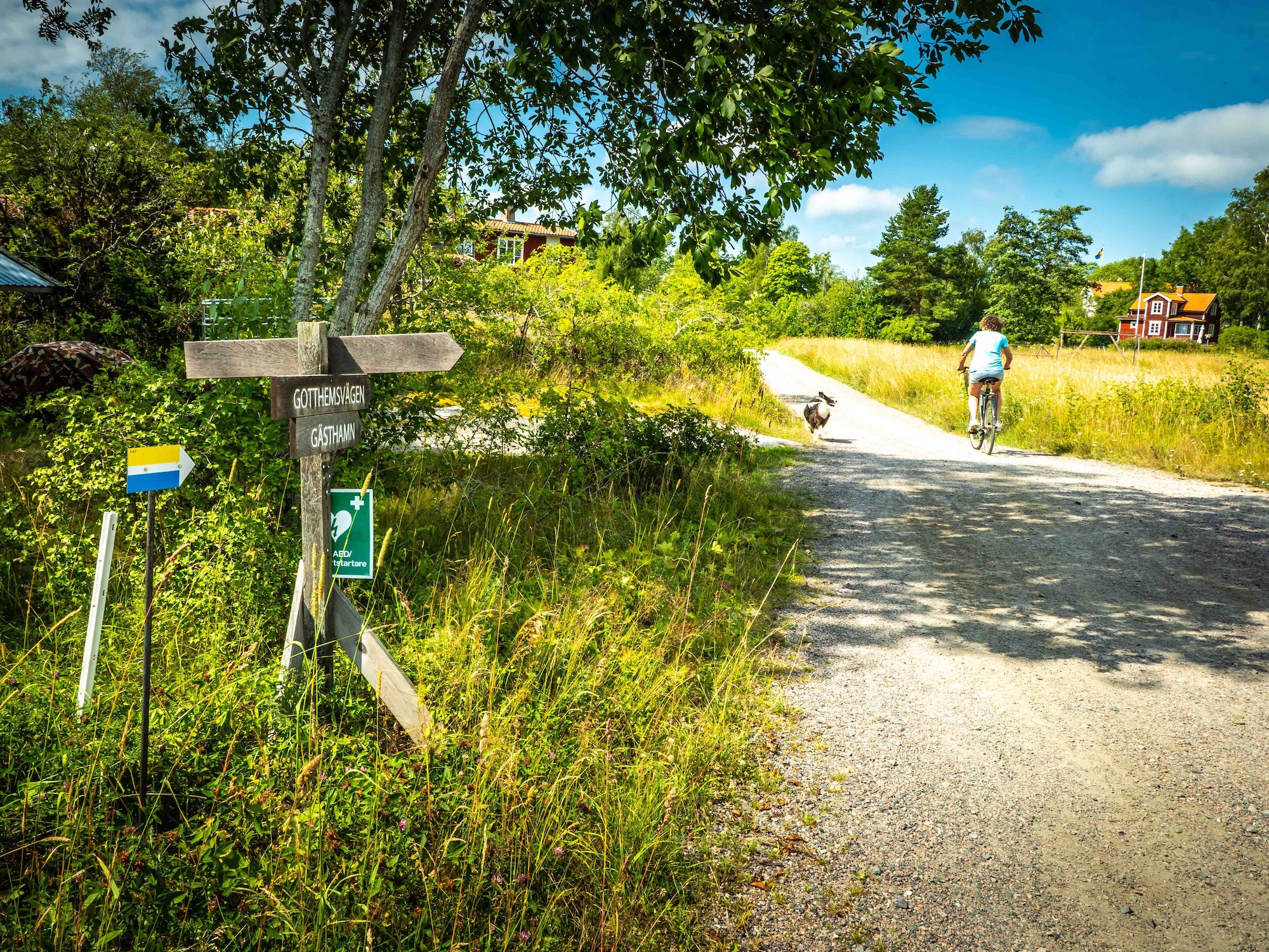 Directional arrow trail marking on Arholma along ther SAT.