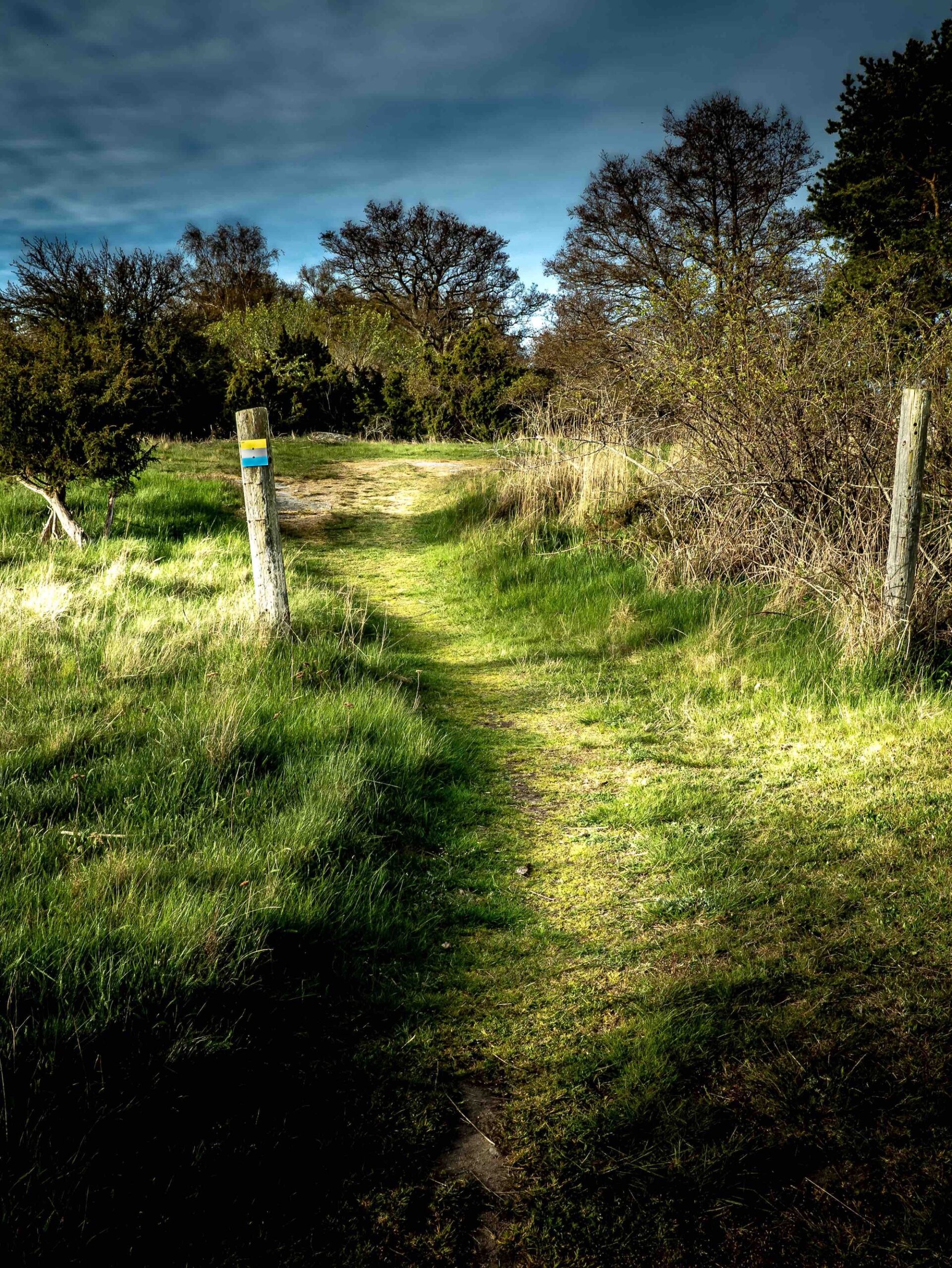 SAT trail marking on pasture post