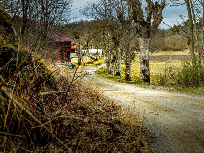 Gravel road from Östanvik to Solvik on SAT Nämdö