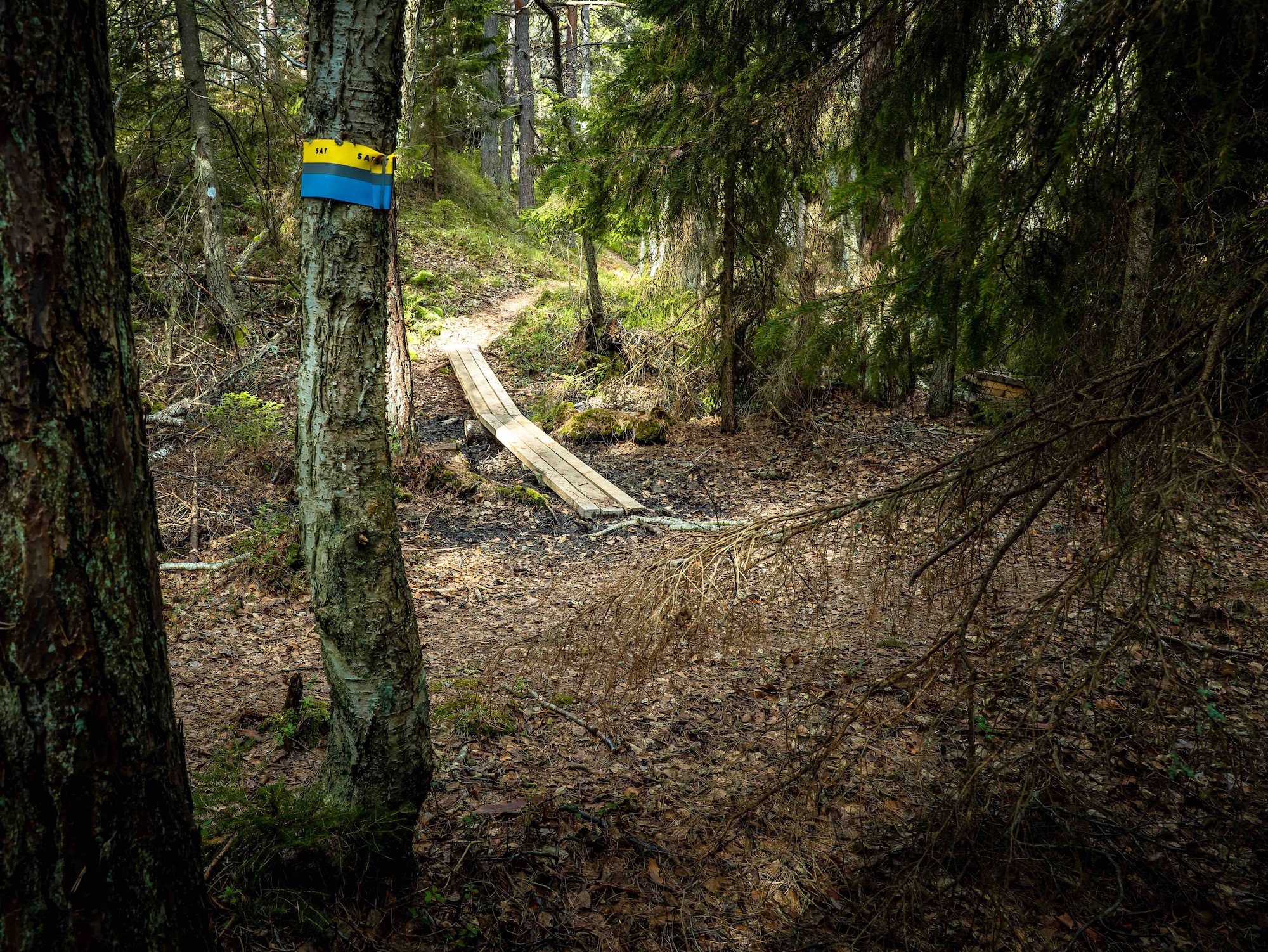 Trail marking in the woods on Nämdö