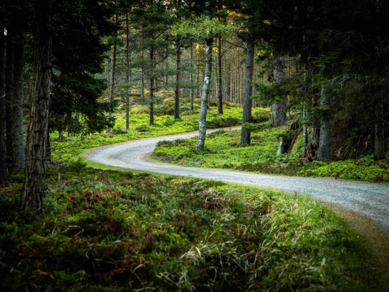 SAT on forest roads on Nåttarö